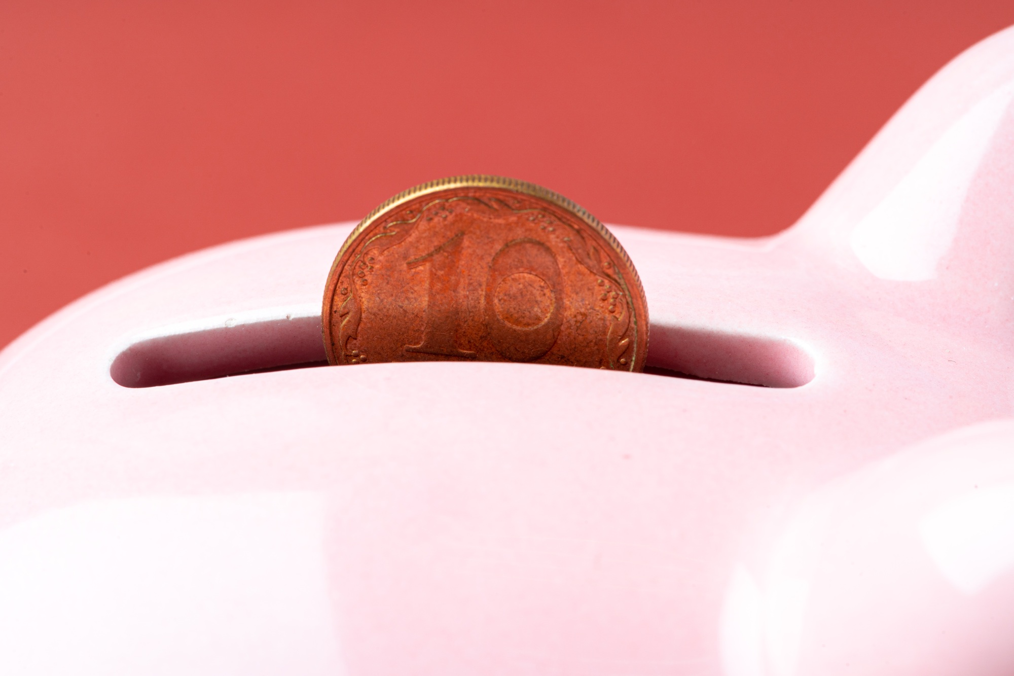 Piggy bank money box with Ukrainian money